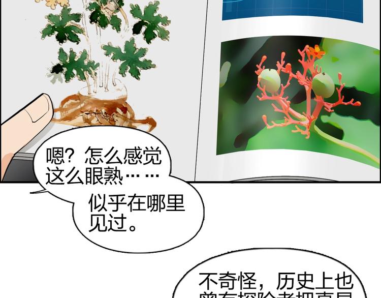 超能立方韩漫全集-第117话 源雾森林无删减无遮挡章节图片 