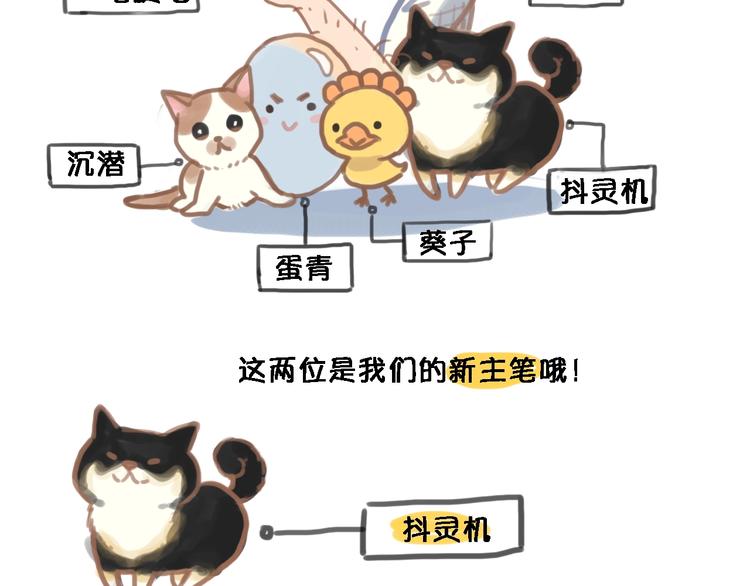 晨星未落时韩漫全集-第113话 暂时不见面无删减无遮挡章节图片 