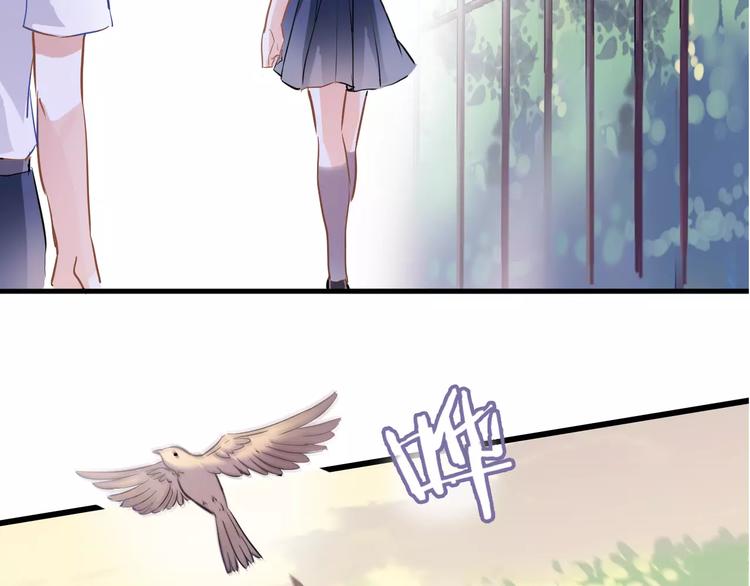 晨星未落时韩漫全集-第35话 放他去飞无删减无遮挡章节图片 