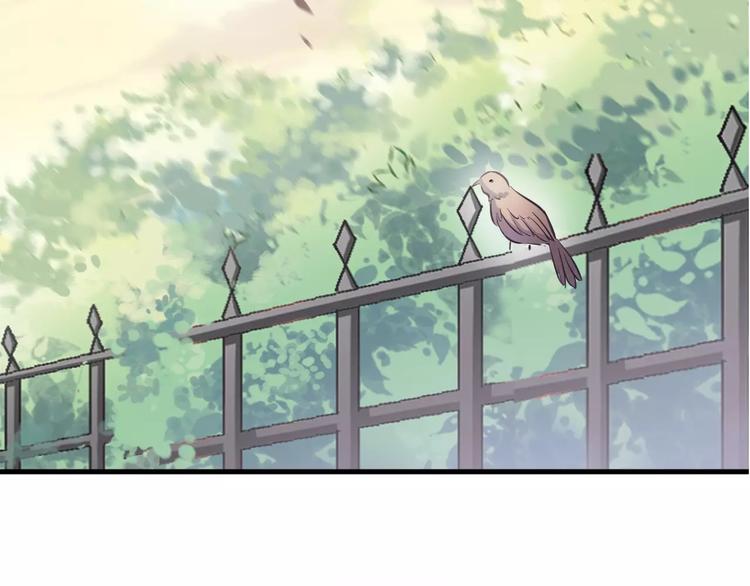 晨星未落时韩漫全集-第35话 放他去飞无删减无遮挡章节图片 