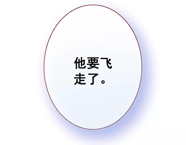 晨星未落时韩漫全集-第35话 放他去飞无删减无遮挡章节图片 