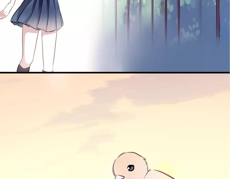晨星未落时韩漫全集-第35话 放他去飞无删减无遮挡章节图片 