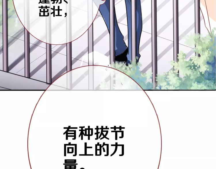 晨星未落时韩漫全集-第41话 借我一天时间无删减无遮挡章节图片 