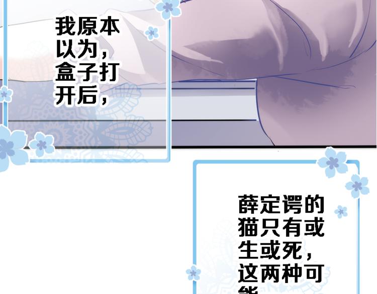 晨星未落时韩漫全集-第51话 安静的修罗场无删减无遮挡章节图片 