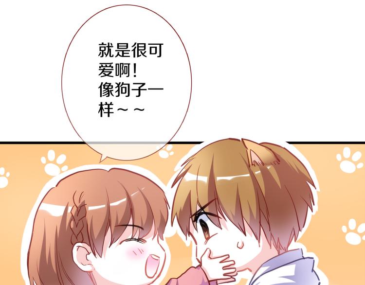 晨星未落时韩漫全集-第65话 粘人的大狗狗无删减无遮挡章节图片 