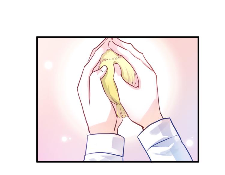 晨星未落时韩漫全集-第66话 她要飞走了无删减无遮挡章节图片 