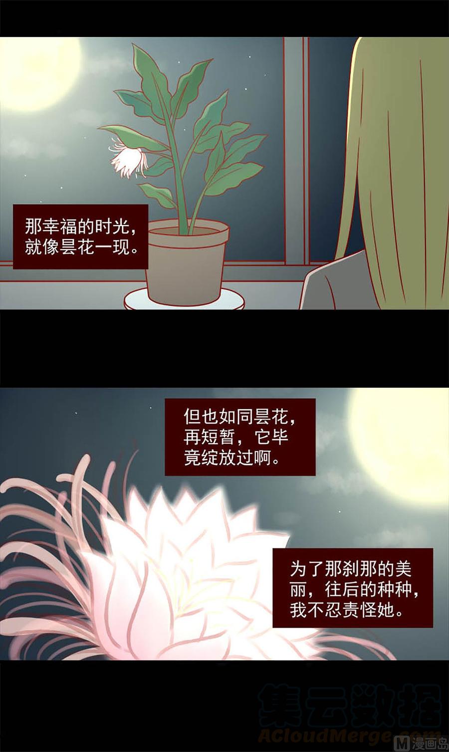 离别的岛，重逢的岛韩漫全集-第122话：昙花无删减无遮挡章节图片 
