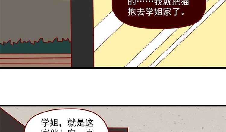离别的岛，重逢的岛韩漫全集-第22话：跟踪无删减无遮挡章节图片 