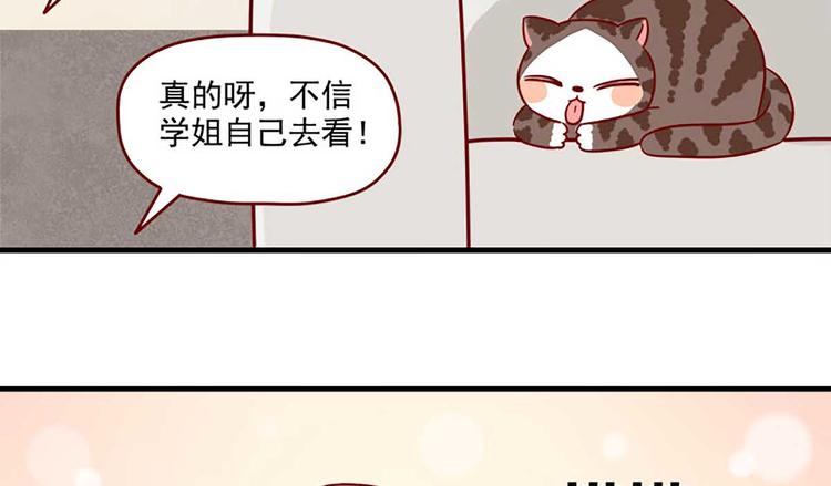 离别的岛，重逢的岛韩漫全集-第22话：跟踪无删减无遮挡章节图片 
