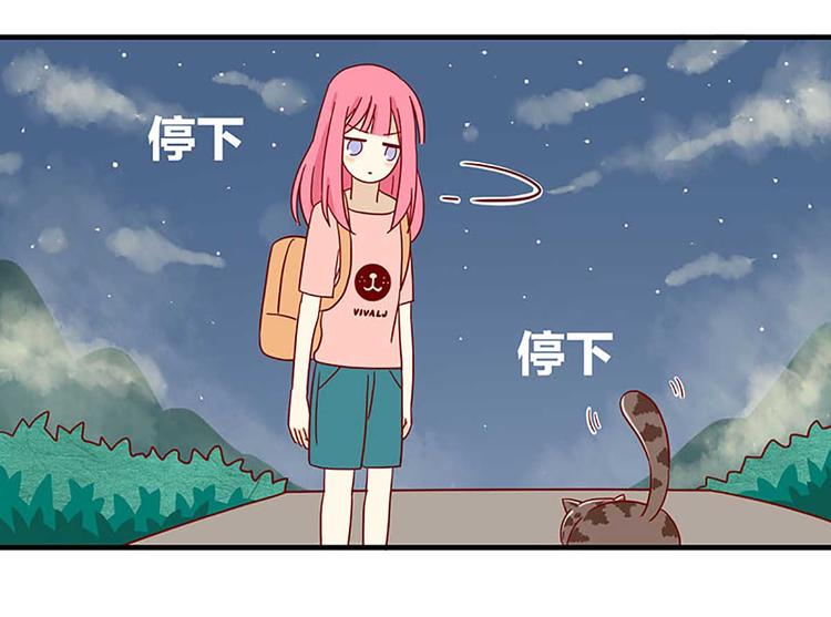 离别的岛，重逢的岛韩漫全集-第22话：跟踪无删减无遮挡章节图片 
