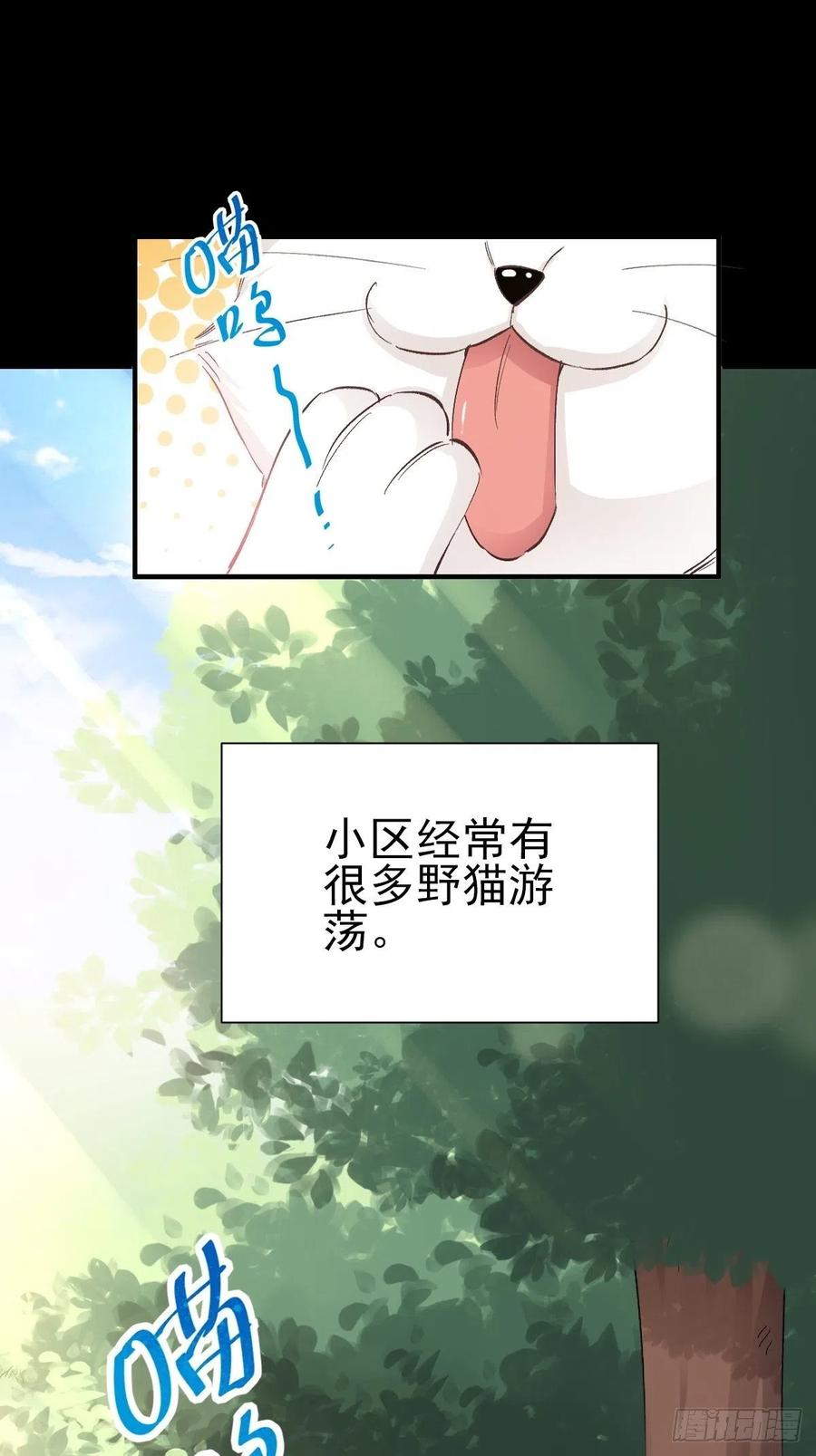 赤色四叶草韩漫全集-106 野猫杀手（1）无删减无遮挡章节图片 