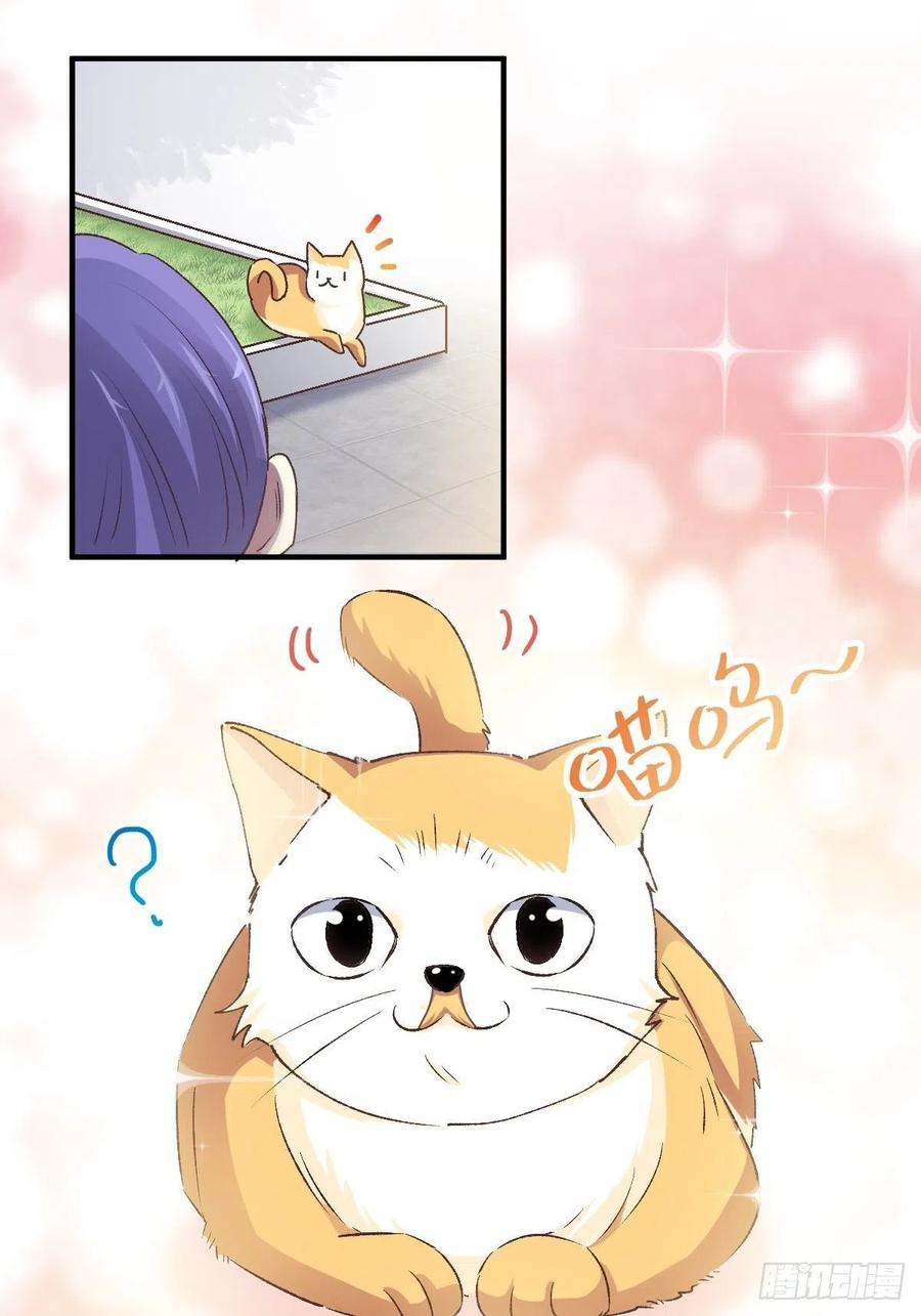 赤色四叶草韩漫全集-106 野猫杀手（1）无删减无遮挡章节图片 