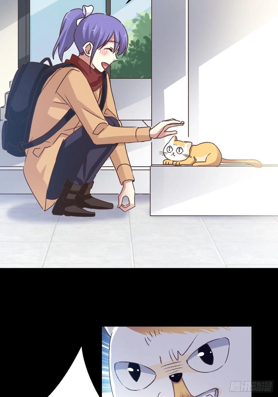 赤色四叶草韩漫全集-106 野猫杀手（1）无删减无遮挡章节图片 