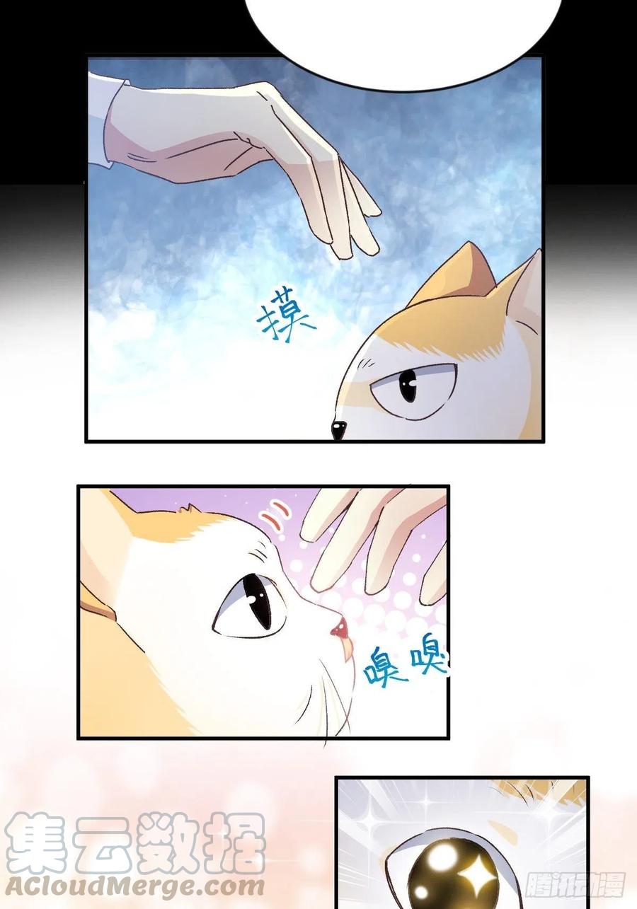 赤色四叶草韩漫全集-106 野猫杀手（1）无删减无遮挡章节图片 