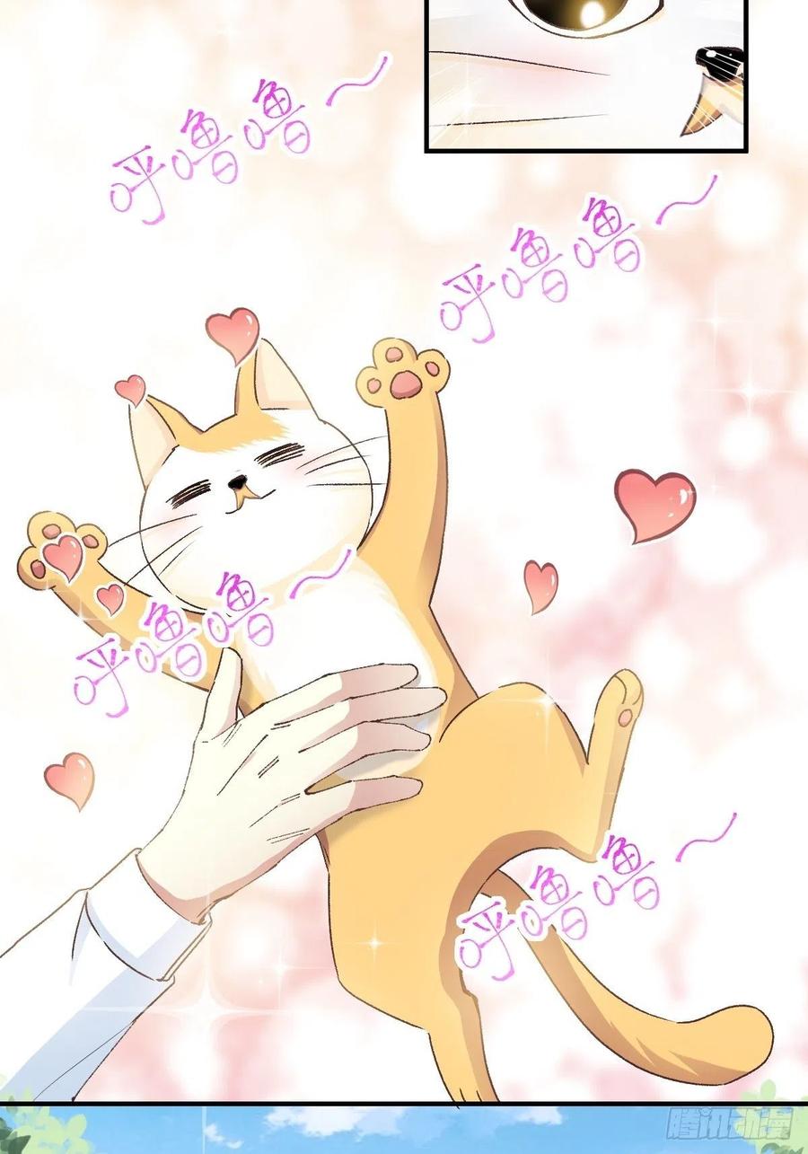赤色四叶草韩漫全集-106 野猫杀手（1）无删减无遮挡章节图片 