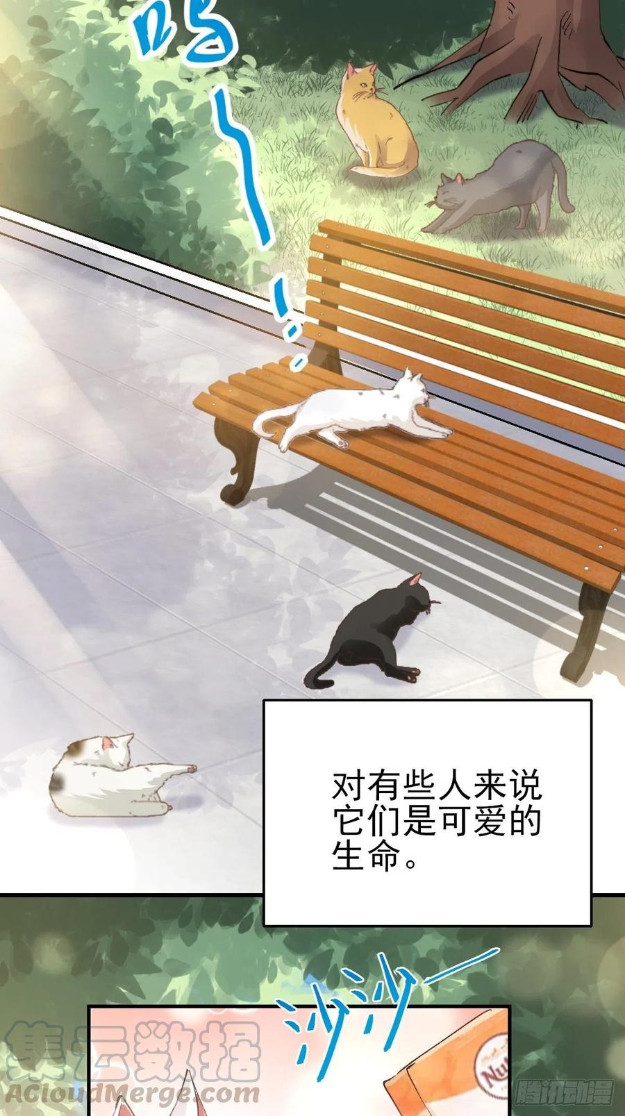 赤色四叶草韩漫全集-106 野猫杀手（1）无删减无遮挡章节图片 