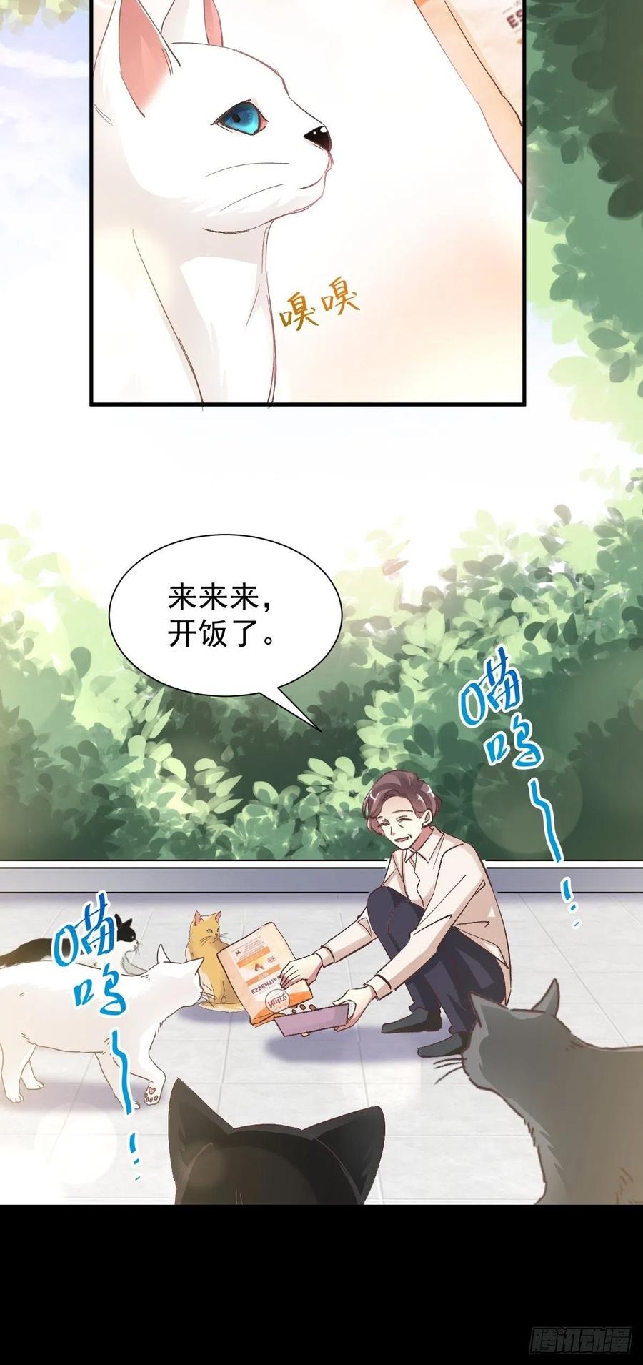 赤色四叶草韩漫全集-106 野猫杀手（1）无删减无遮挡章节图片 