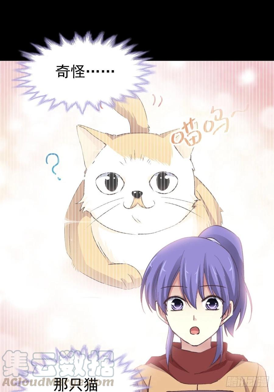 赤色四叶草韩漫全集-108 野猫杀手（3）无删减无遮挡章节图片 