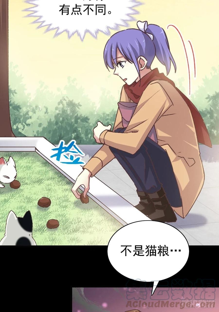 赤色四叶草韩漫全集-108 野猫杀手（3）无删减无遮挡章节图片 