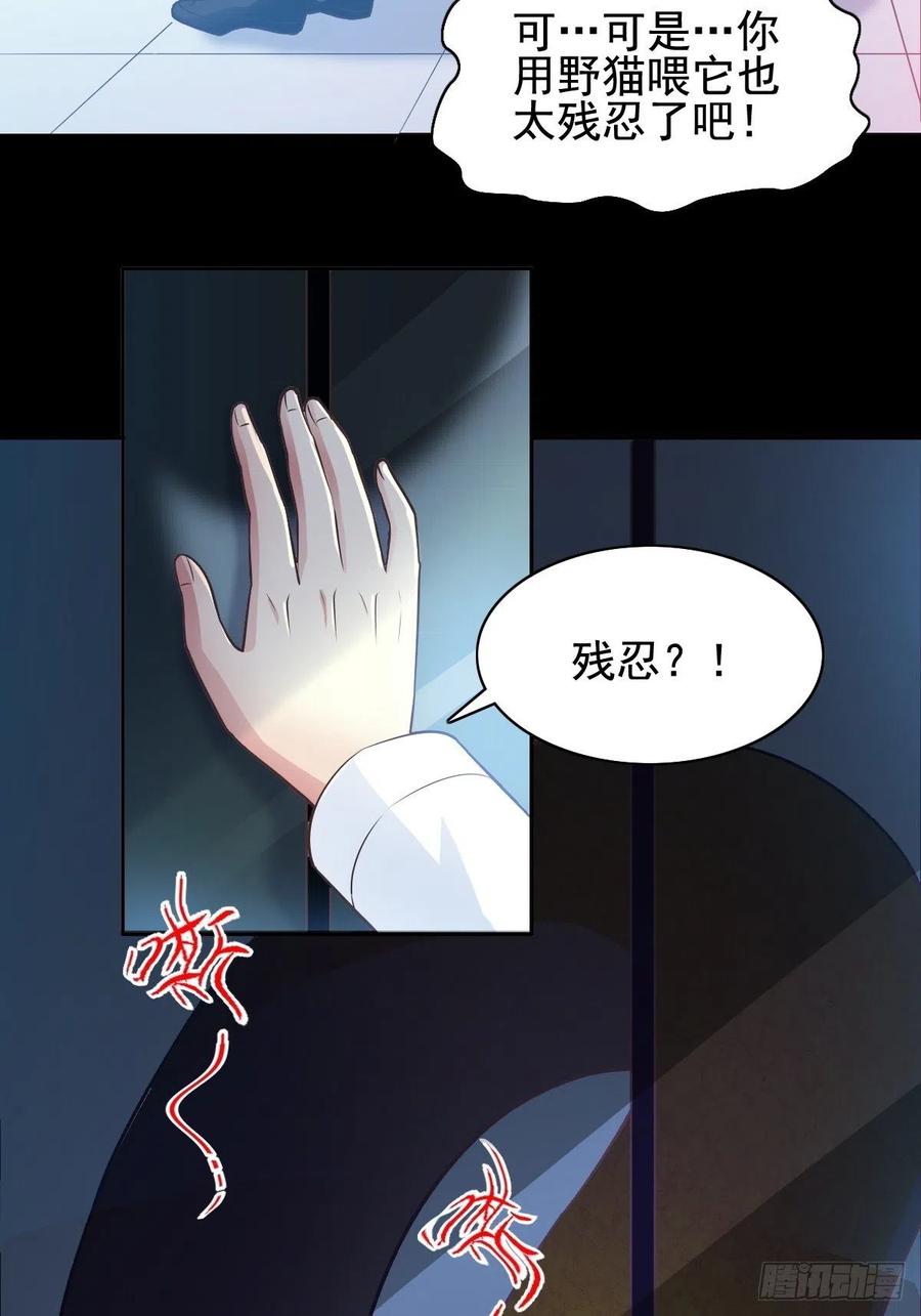赤色四叶草韩漫全集-110 野猫杀手（5）无删减无遮挡章节图片 