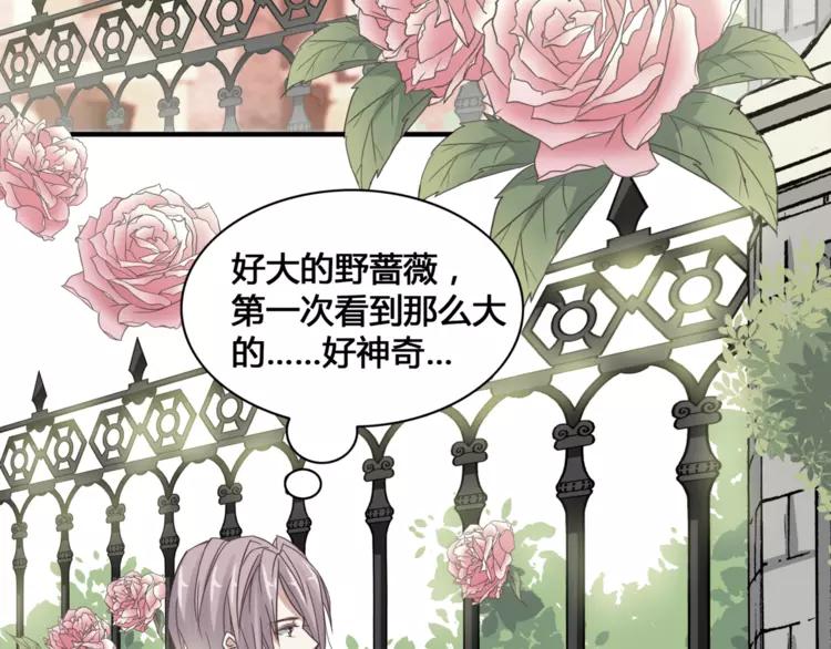 赤色四叶草韩漫全集-035 野蔷薇物语（上）无删减无遮挡章节图片 