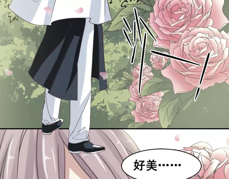 赤色四叶草韩漫全集-035 野蔷薇物语（上）无删减无遮挡章节图片 