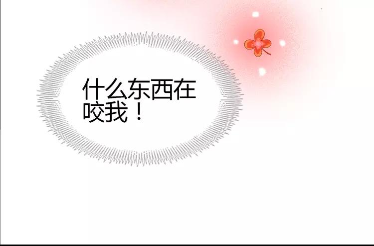 赤色四叶草韩漫全集-050 恋上爱丽丝（4）无删减无遮挡章节图片 