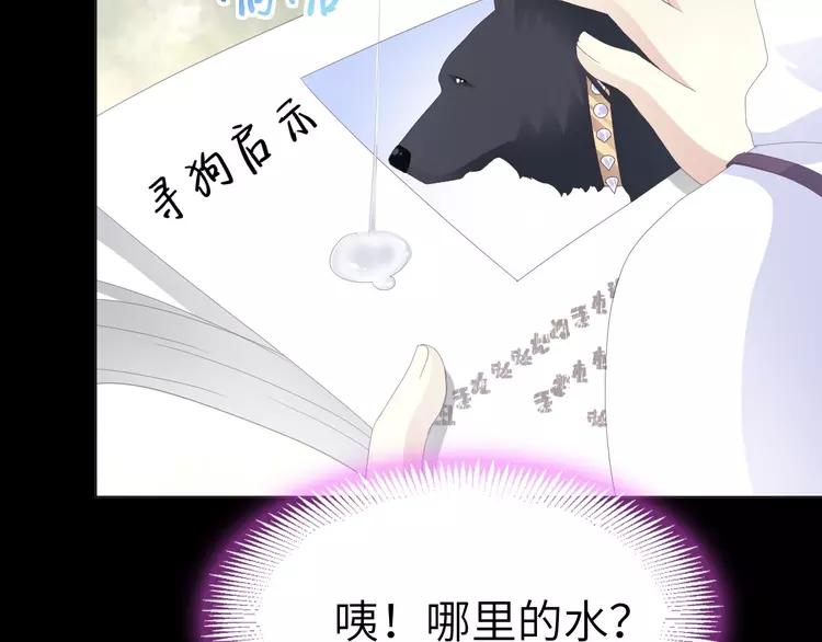 赤色四叶草韩漫全集-075 黑狼的选择（上）无删减无遮挡章节图片 