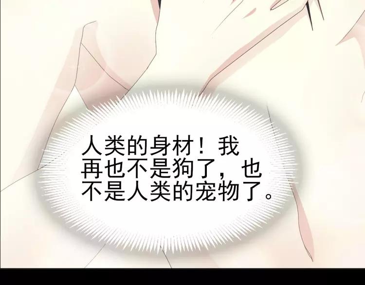 赤色四叶草韩漫全集-075 黑狼的选择（上）无删减无遮挡章节图片 