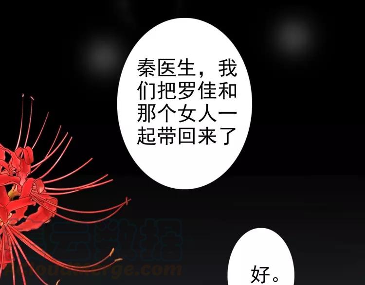 赤色四叶草韩漫全集-081 红女王的预言无删减无遮挡章节图片 