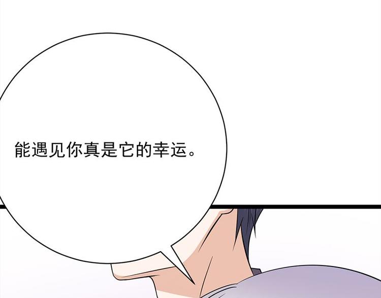 宠妻成瘾：陆少的心尖宠韩漫全集-第14话：遇见你也是我的幸运无删减无遮挡章节图片 