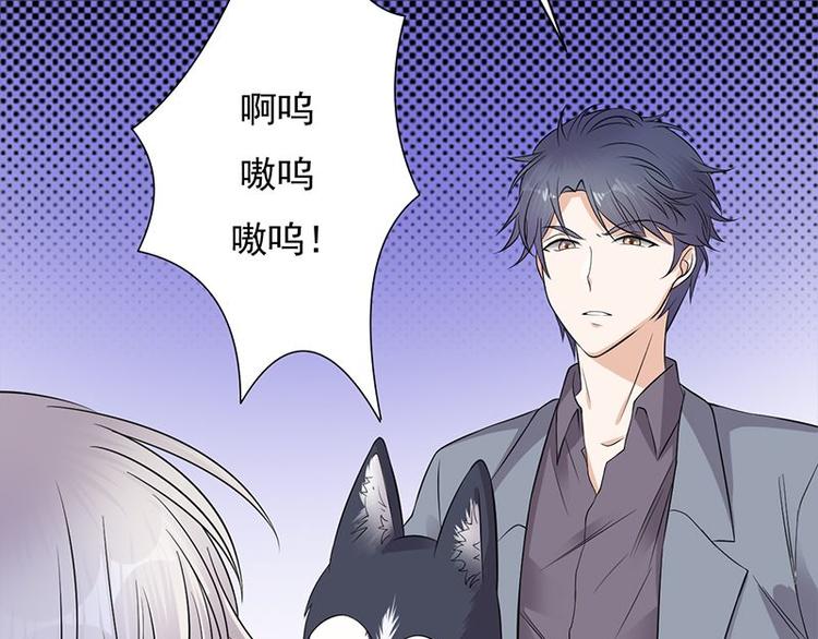 宠妻成瘾：陆少的心尖宠韩漫全集-第14话：遇见你也是我的幸运无删减无遮挡章节图片 