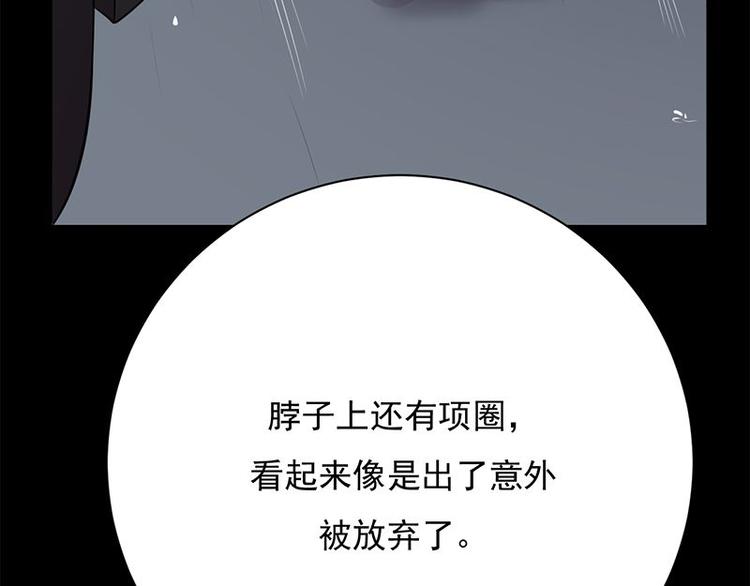 宠妻成瘾：陆少的心尖宠韩漫全集-第14话：遇见你也是我的幸运无删减无遮挡章节图片 