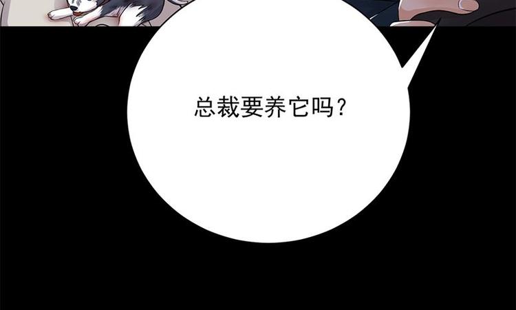 宠妻成瘾：陆少的心尖宠韩漫全集-第14话：遇见你也是我的幸运无删减无遮挡章节图片 