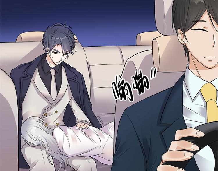 宠妻成瘾：陆少的心尖宠韩漫全集-第3话：行车不规范，亲人两行泪无删减无遮挡章节图片 