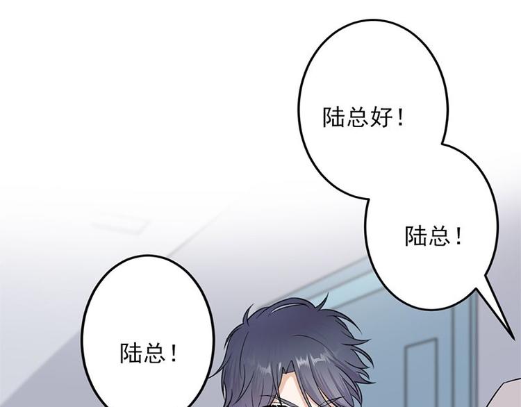 宠妻成瘾：陆少的心尖宠韩漫全集-第3话：行车不规范，亲人两行泪无删减无遮挡章节图片 