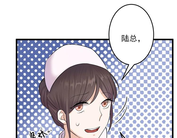 宠妻成瘾：陆少的心尖宠韩漫全集-第3话：行车不规范，亲人两行泪无删减无遮挡章节图片 