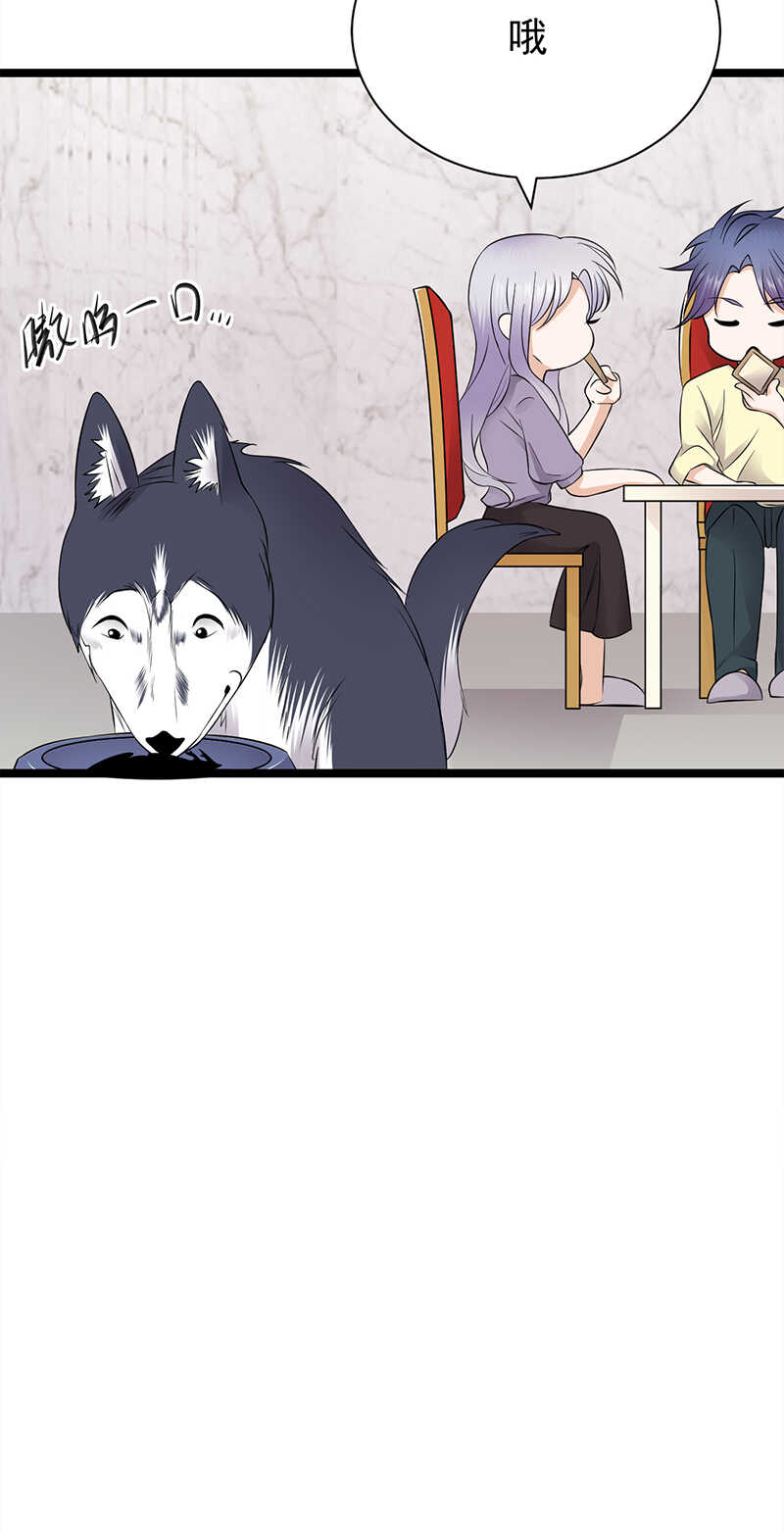 宠妻成瘾：陆少的心尖宠韩漫全集-第37话：O型血感觉有被冒犯到无删减无遮挡章节图片 