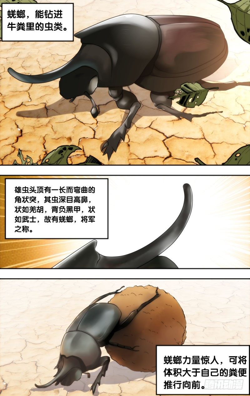 虫生韩漫全集-12.蜣螂无删减无遮挡章节图片 