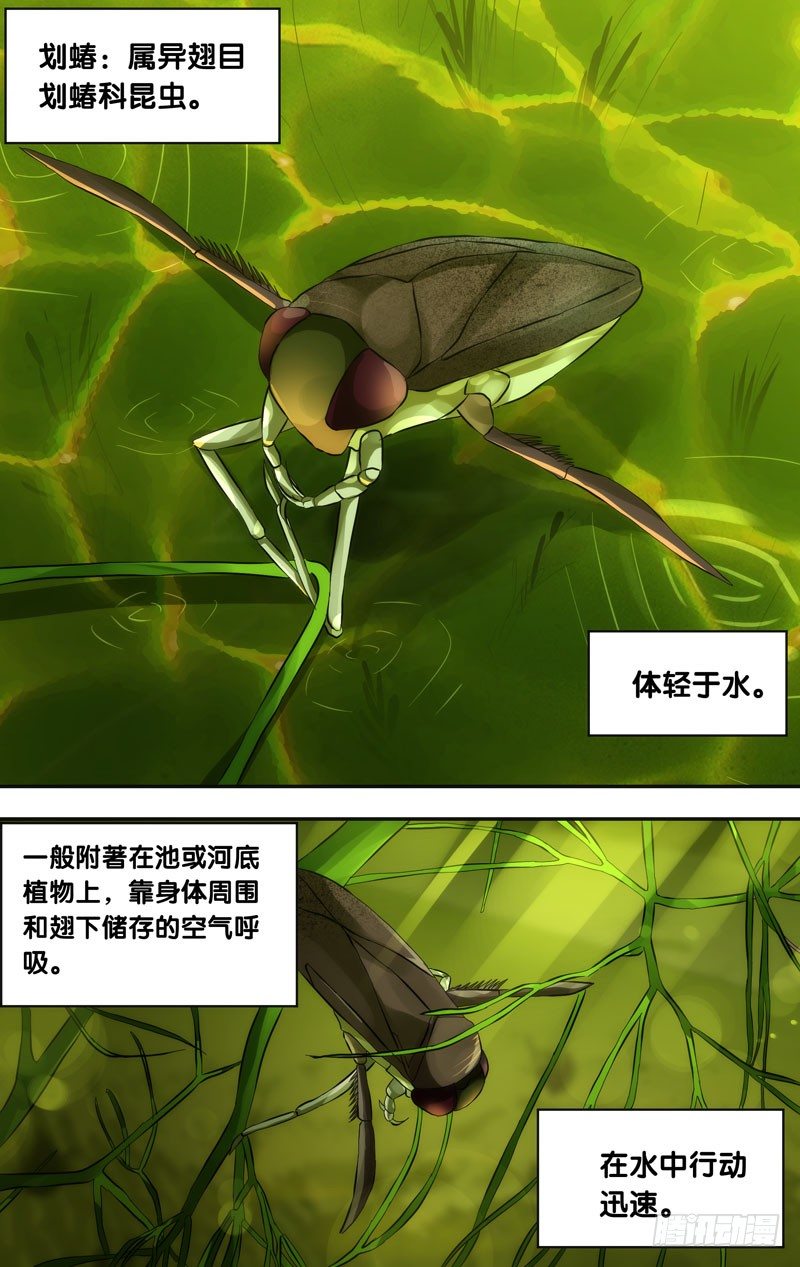 虫生韩漫全集-30.划蝽无删减无遮挡章节图片 