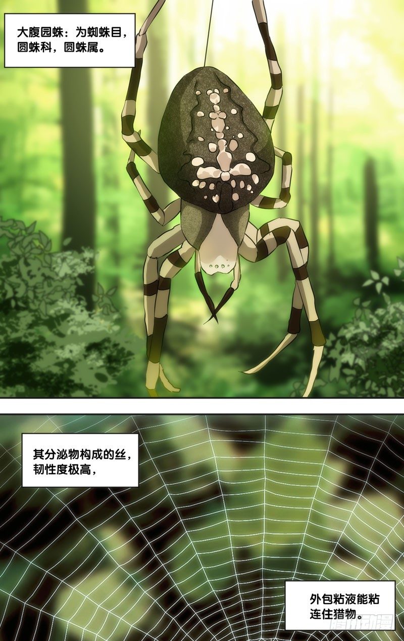 虫生韩漫全集-44.蛛无删减无遮挡章节图片 