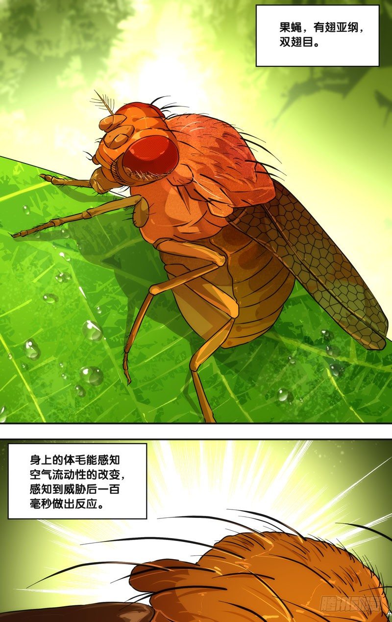 虫生韩漫全集-46.追击无删减无遮挡章节图片 