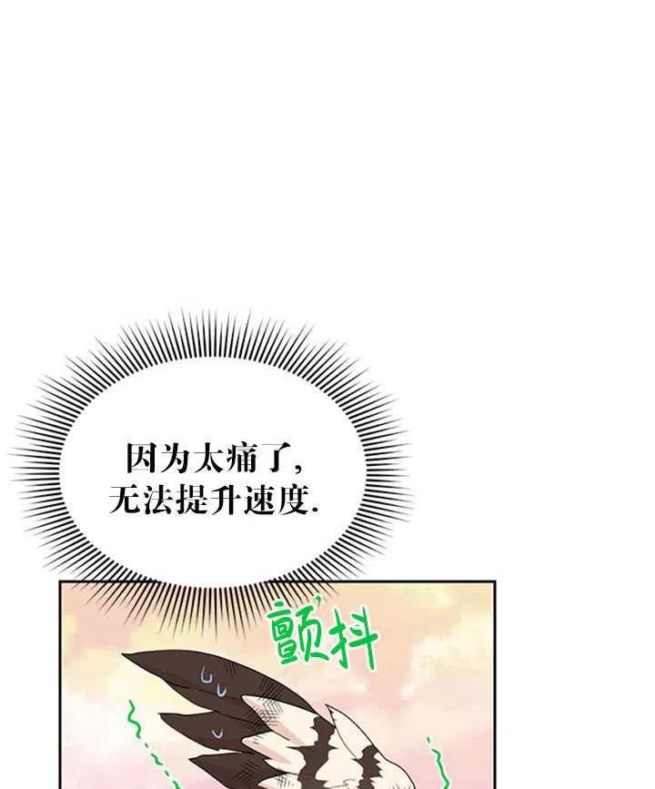 传令鸟公主韩漫全集-第15话无删减无遮挡章节图片 
