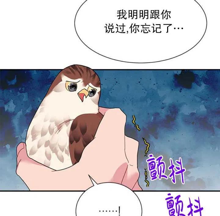 传令鸟公主韩漫全集-第18话无删减无遮挡章节图片 