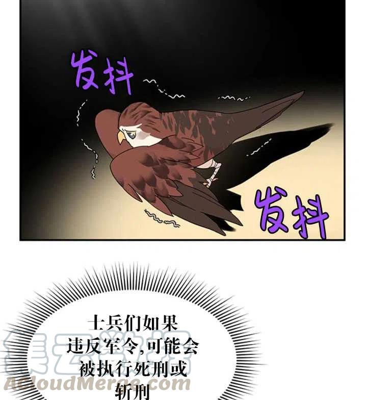 传令鸟公主韩漫全集-第18话无删减无遮挡章节图片 