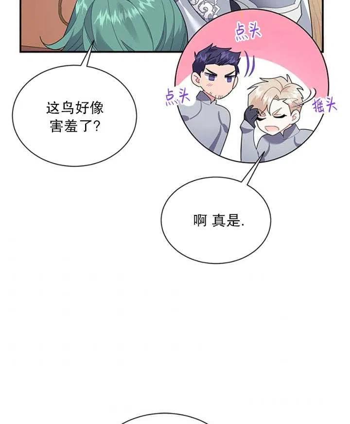 传令鸟公主韩漫全集-第19话无删减无遮挡章节图片 