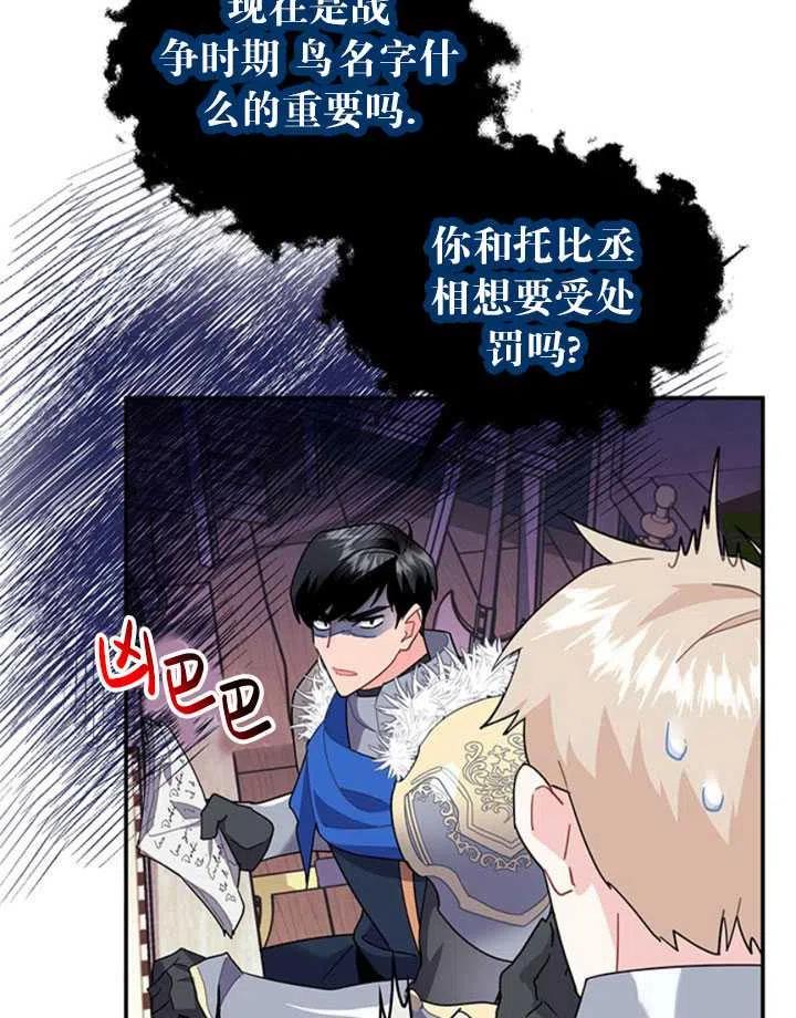 传令鸟公主韩漫全集-第19话无删减无遮挡章节图片 