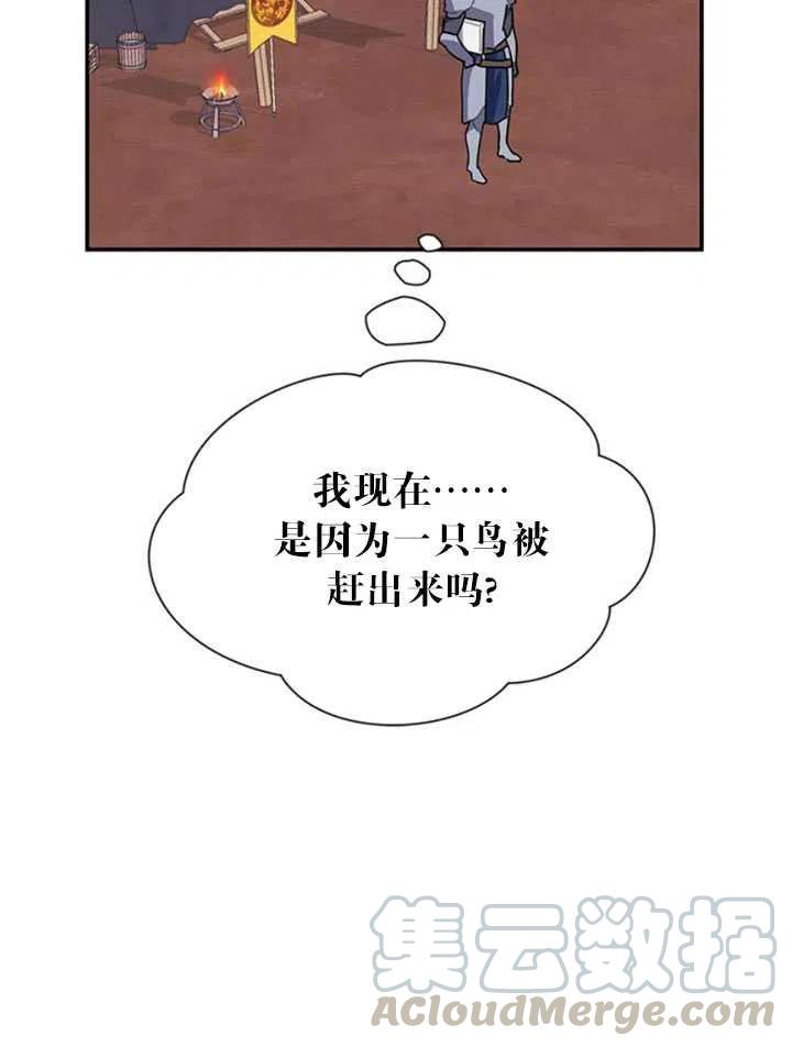 传令鸟公主韩漫全集-第19话无删减无遮挡章节图片 