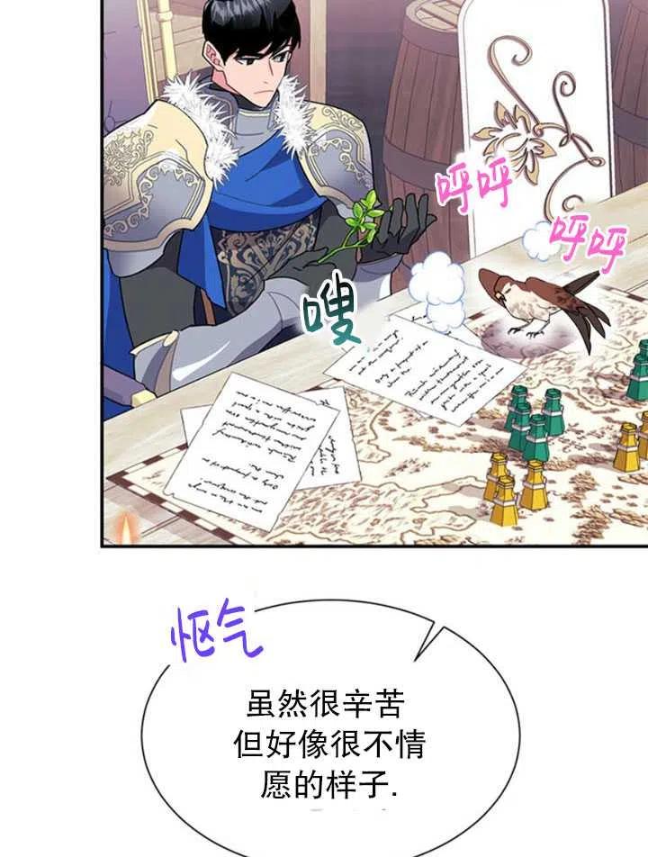 传令鸟公主韩漫全集-第19话无删减无遮挡章节图片 