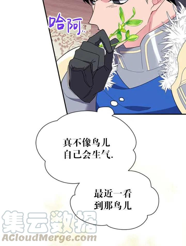 传令鸟公主韩漫全集-第19话无删减无遮挡章节图片 